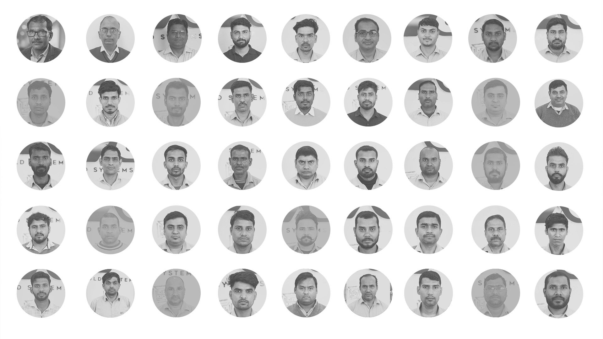 Our Team